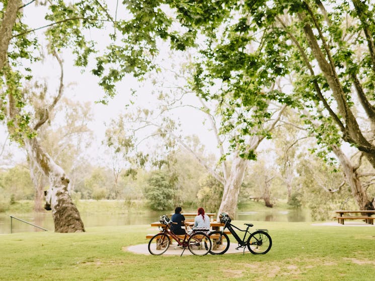 Murray River Precinct - Albury