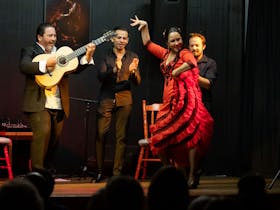 Paco Lara Flamenco Trio Cover Image