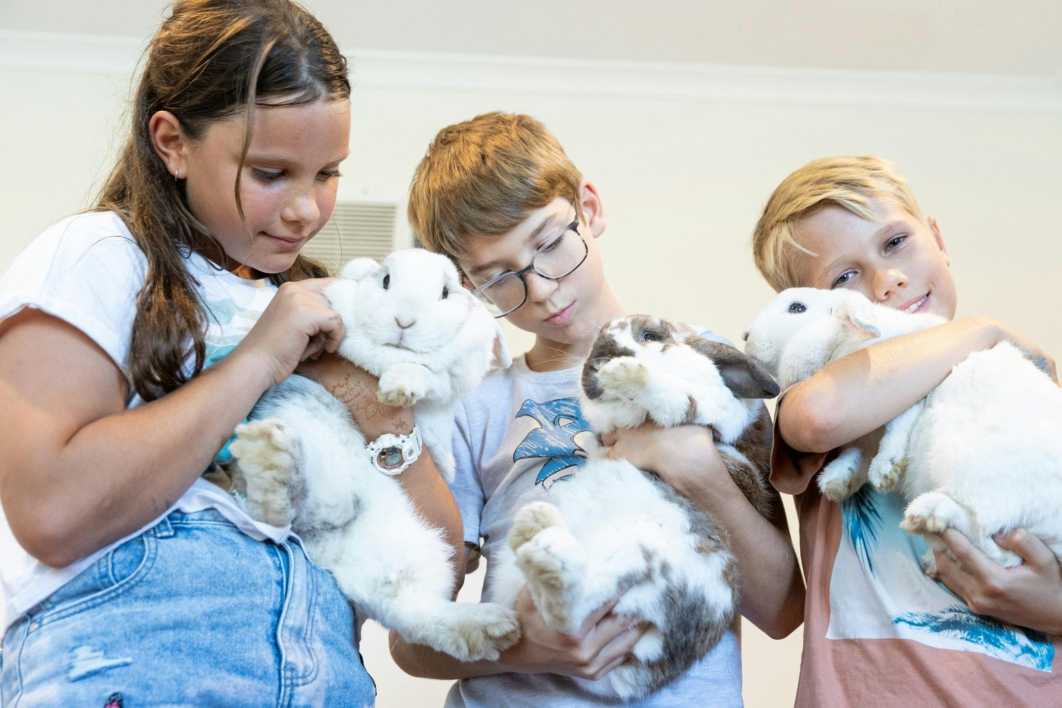 Cuddles with the bunnies