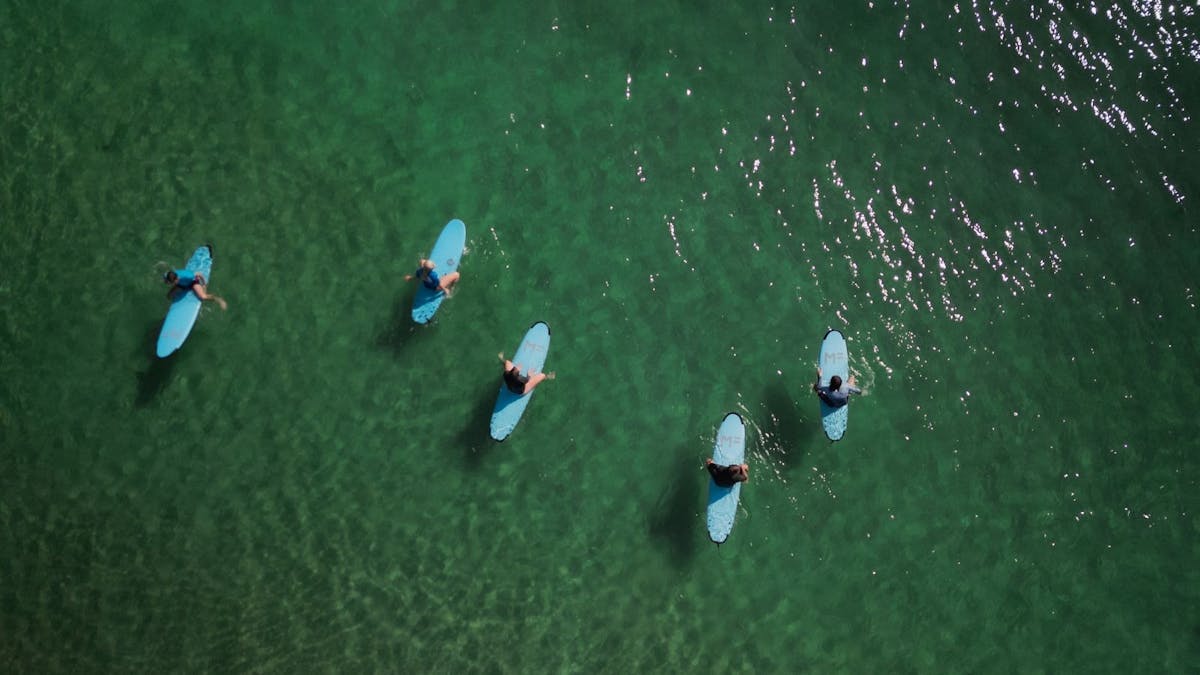Surfers on boards in the water
