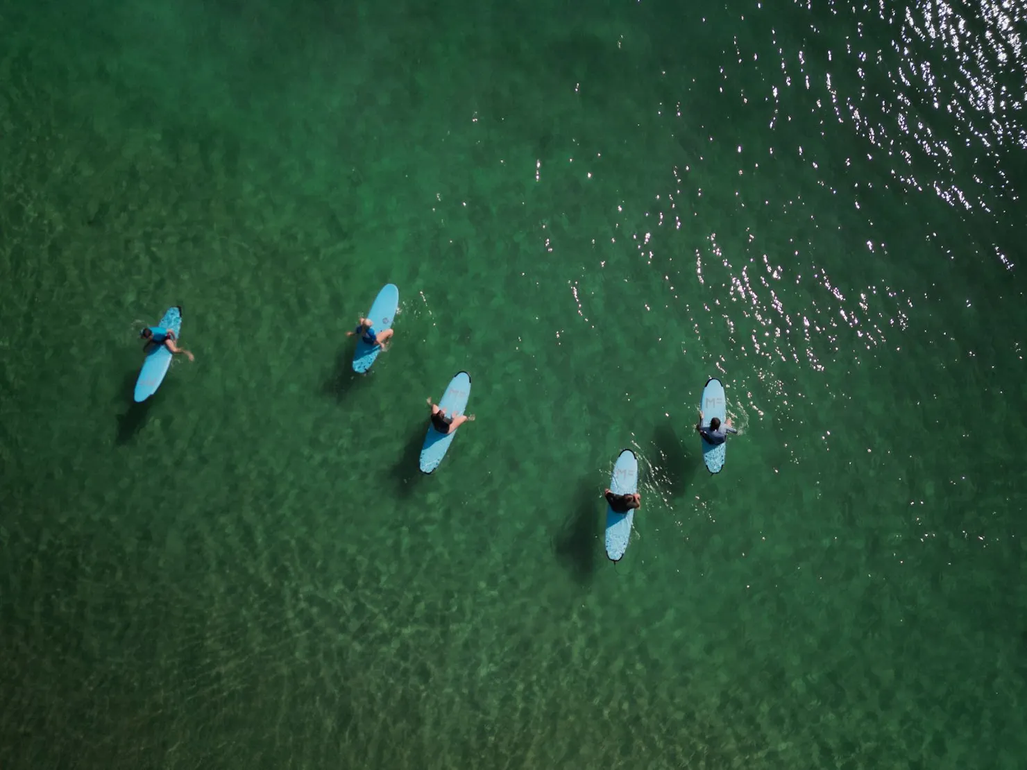 Surfers on boards in the water