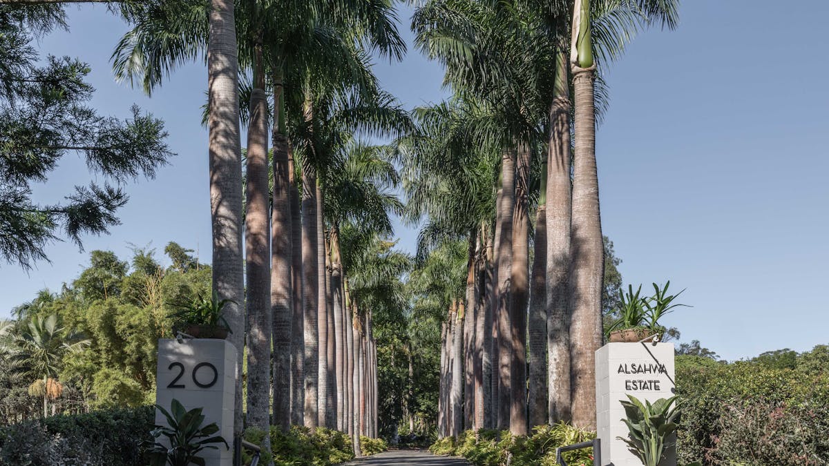 Palm Tree Entrance Alsahwa Estate