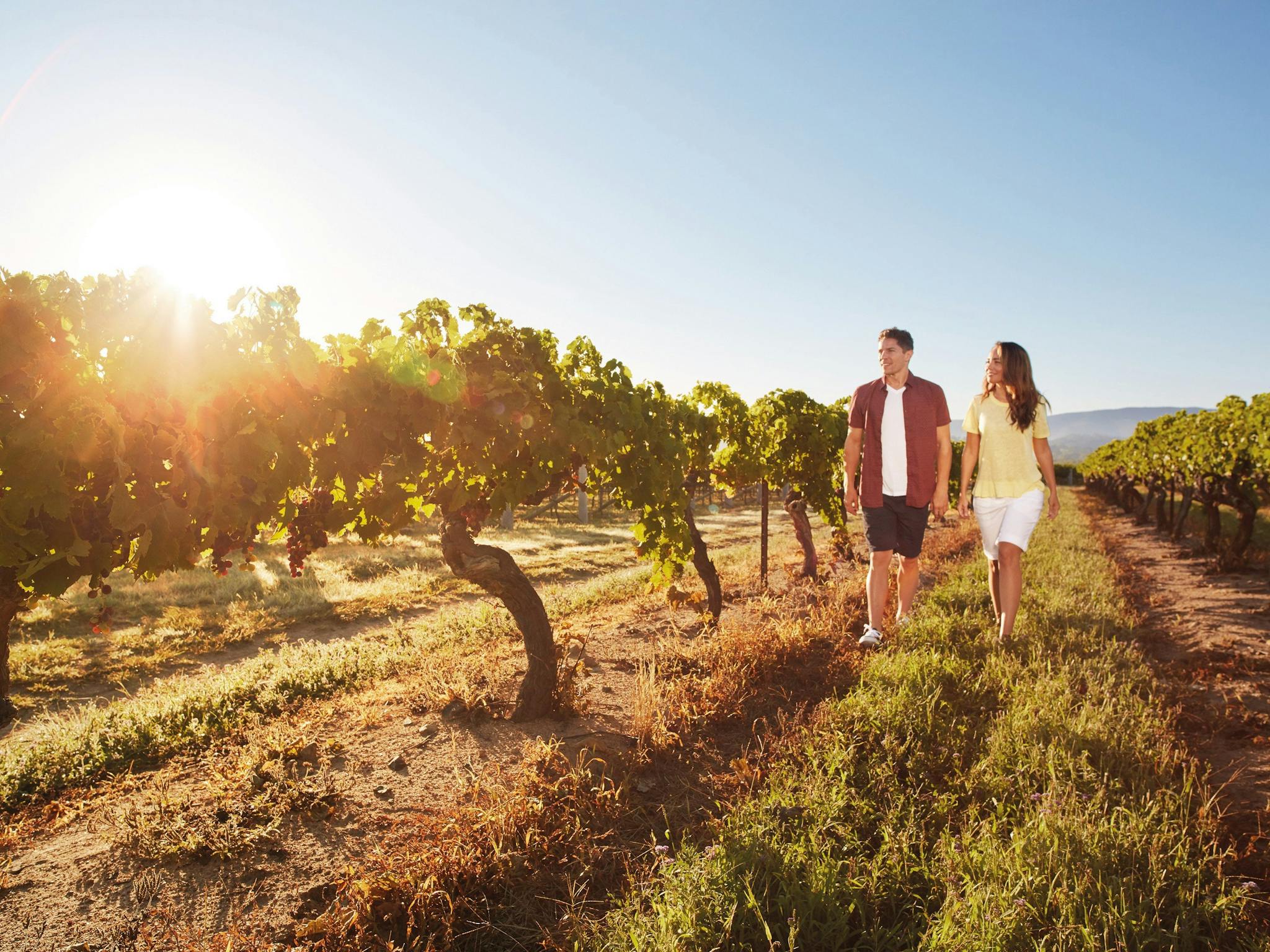 Golden Grove Estate Southern Queensland Country