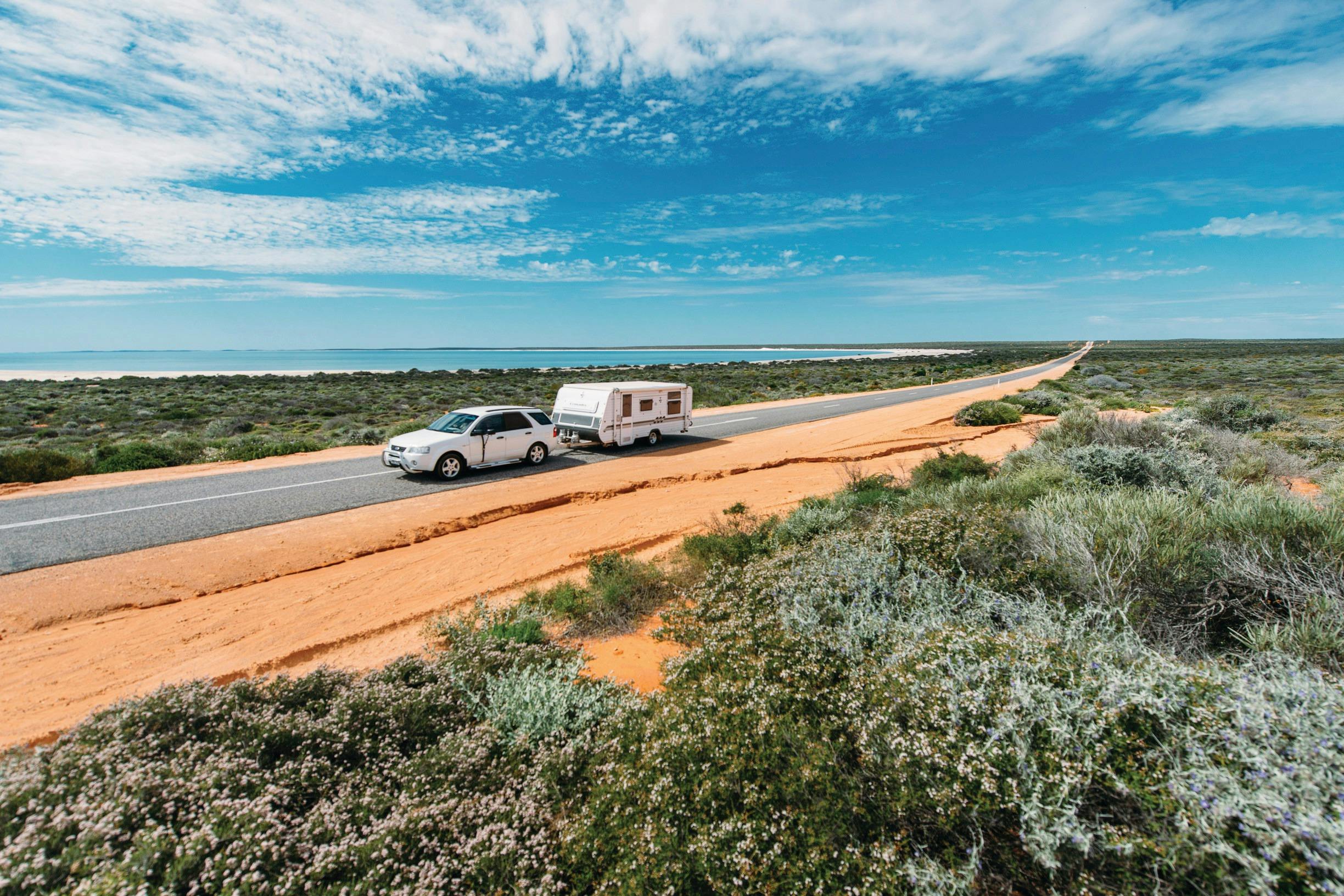 Northern Explorer Wildflower Trail, Denham, Western Australia