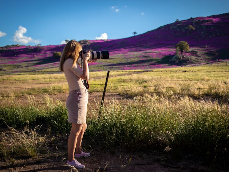 A young photographer photographing a hilltop covered in bright purple flowers.