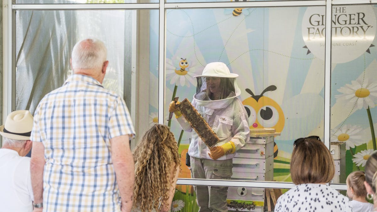 One of our beekeepers opening a bee hive