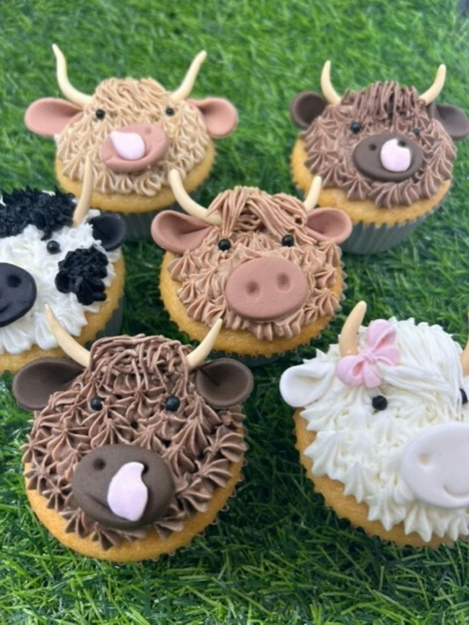 Highland Cow Cupcakes Class