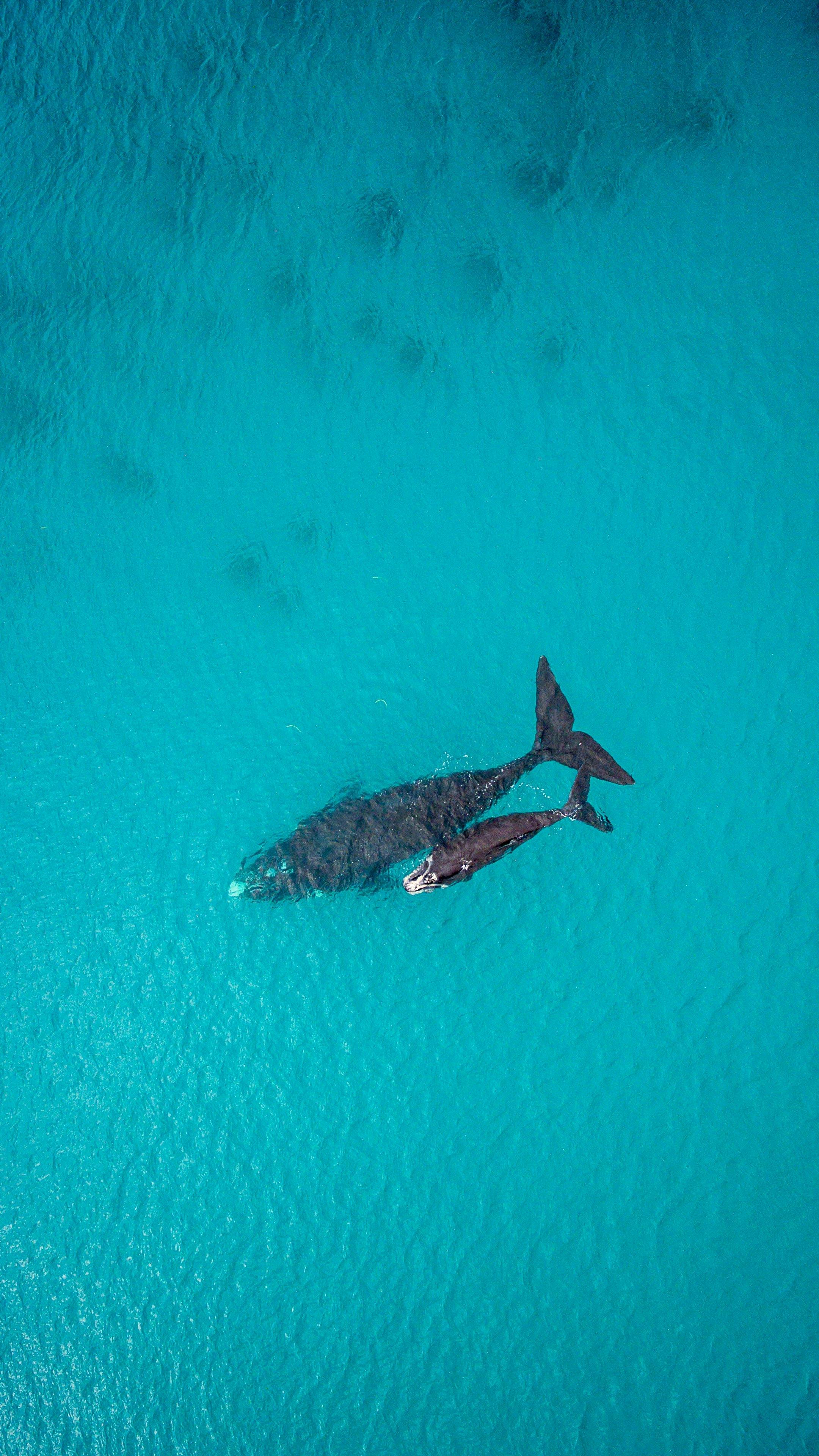 Albany, Western Australia