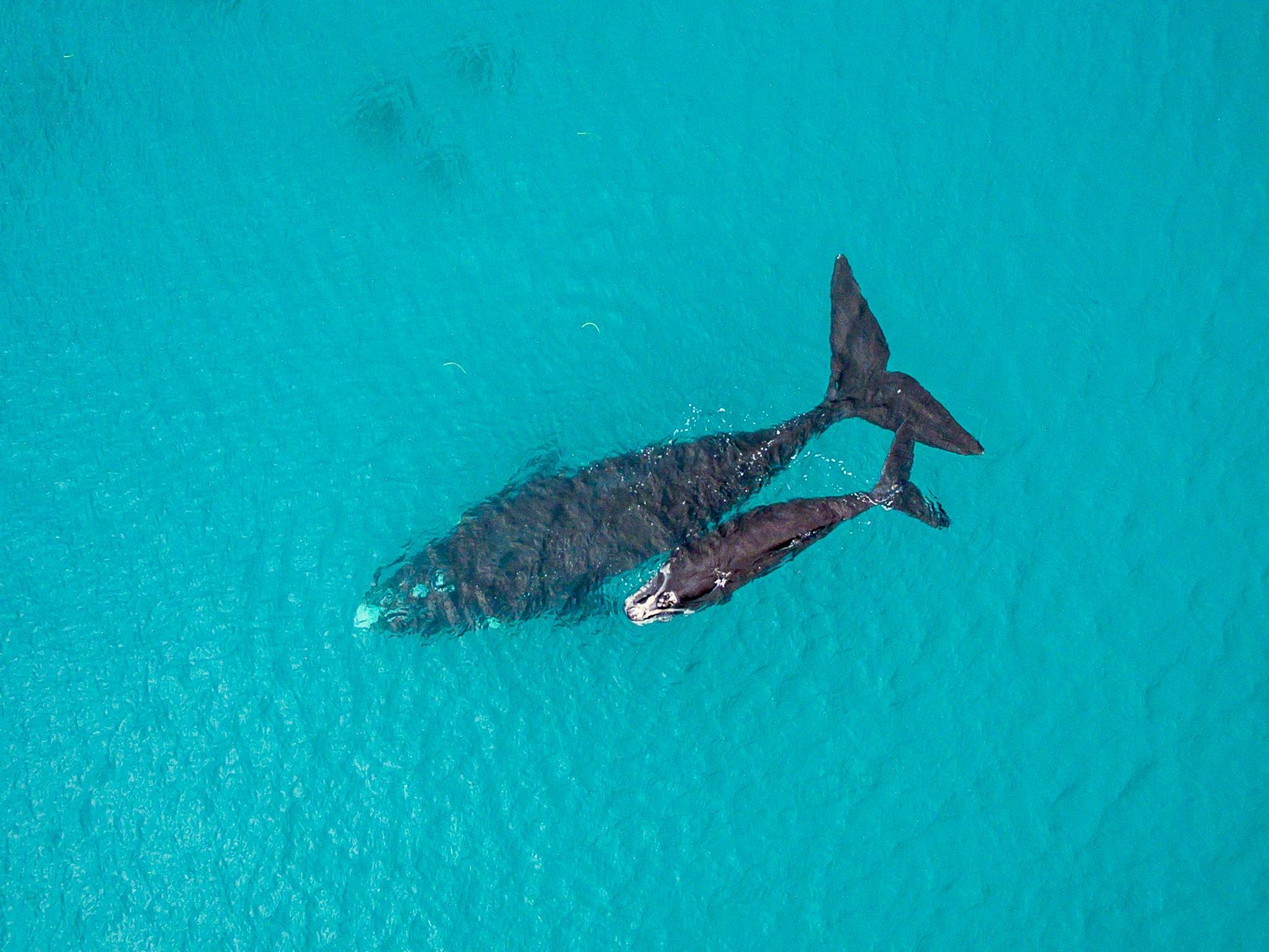 Albany, Western Australia