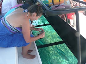 Glass Bottom Boat Coral Viewing