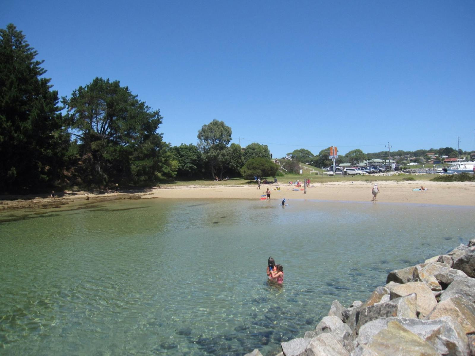 Bruce Steer Pool