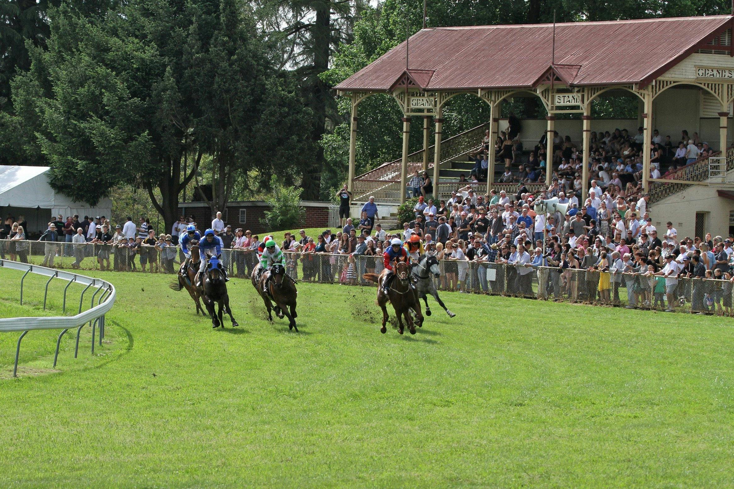 Tumut Boxing Day Races.