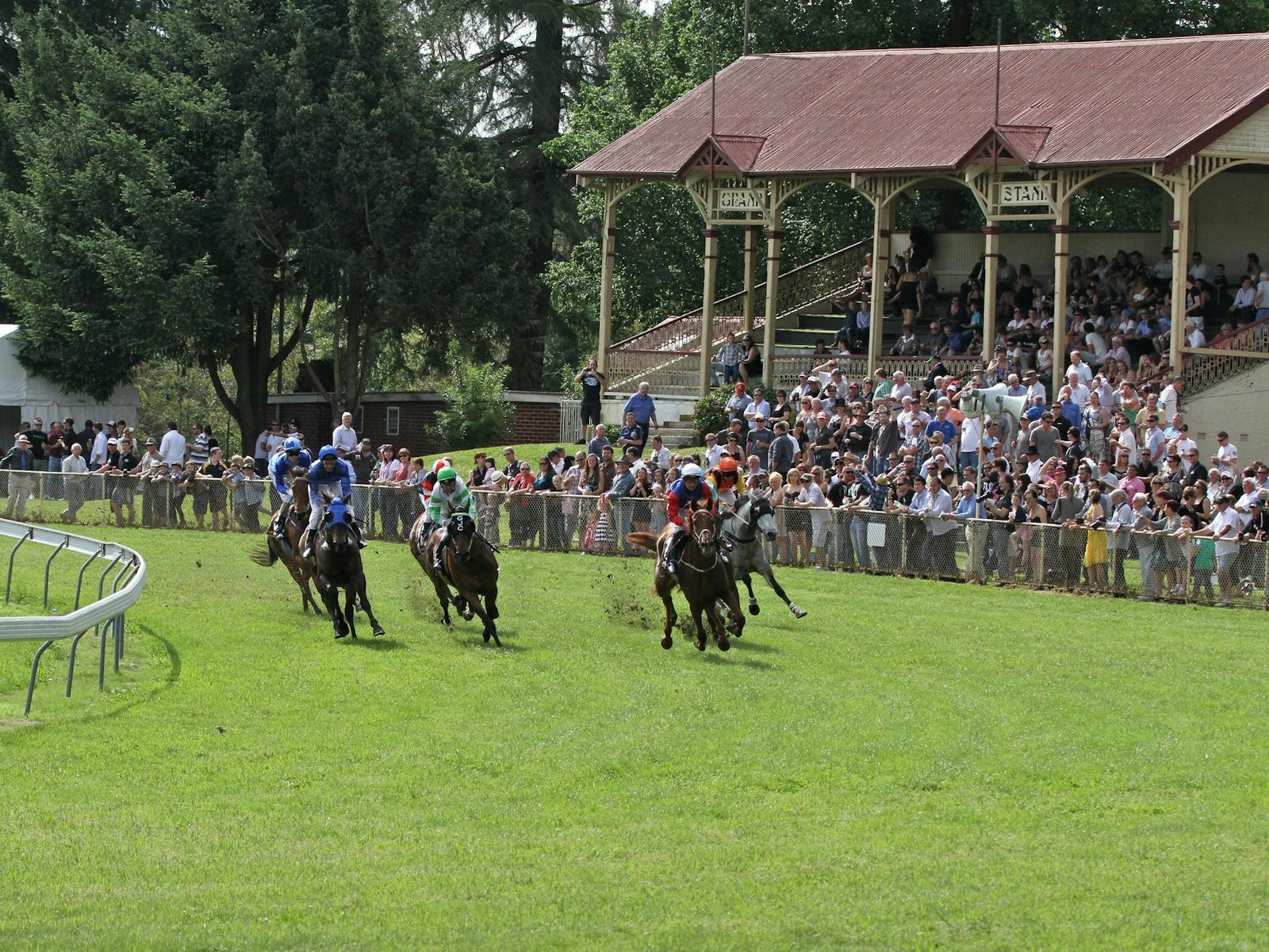 Image for Tumut Boxing Day Races.