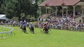 Tumut Races