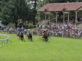Tumut Boxing Day Races Cover Image