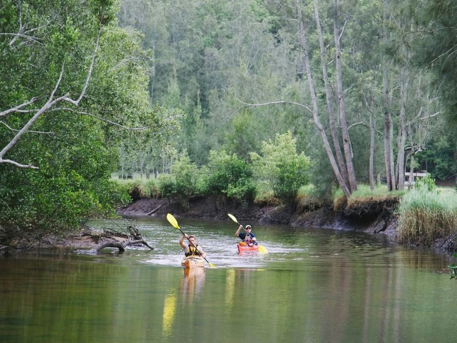 Glenworth Valley Wilderness Adventures Kayaking