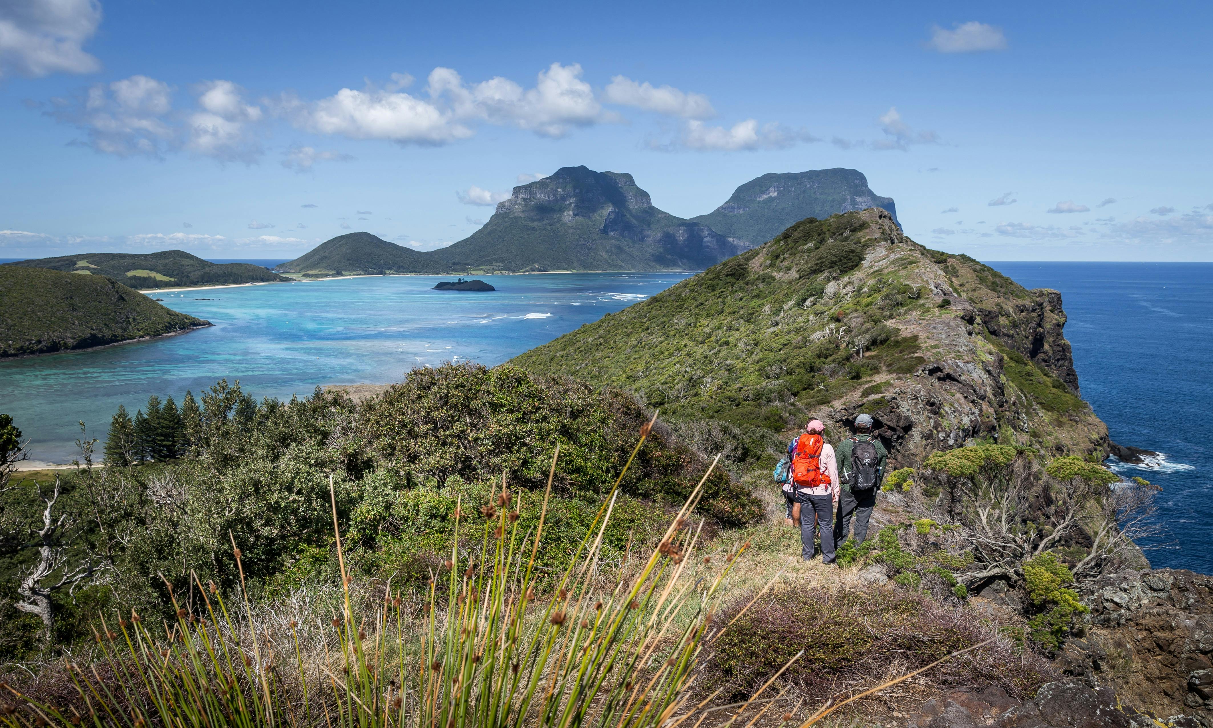 Seven Peaks Walk Pinetrees Lord Howe Island