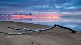Canoe Point Beach and Parklands