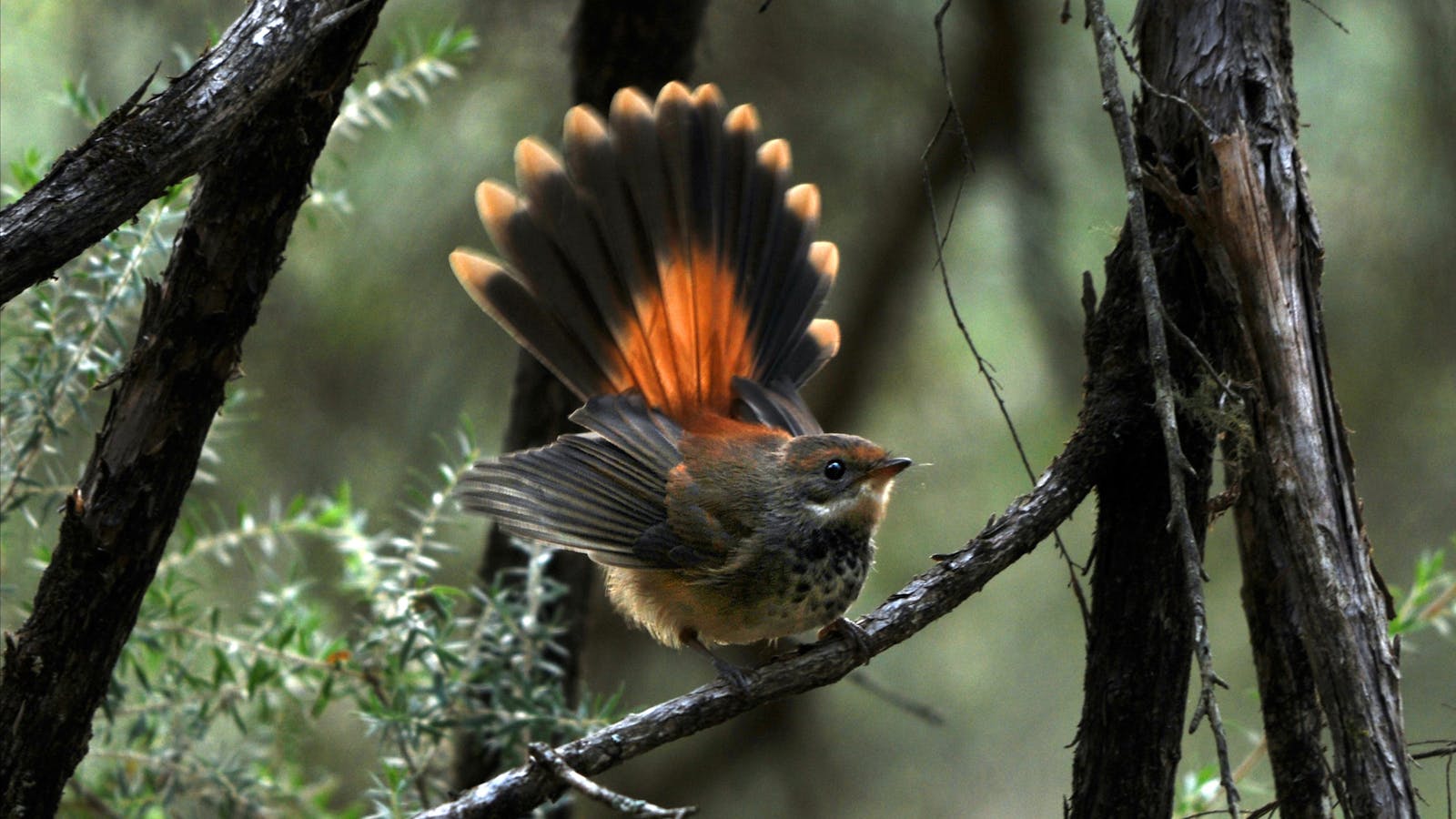 Crawford River Regional Park