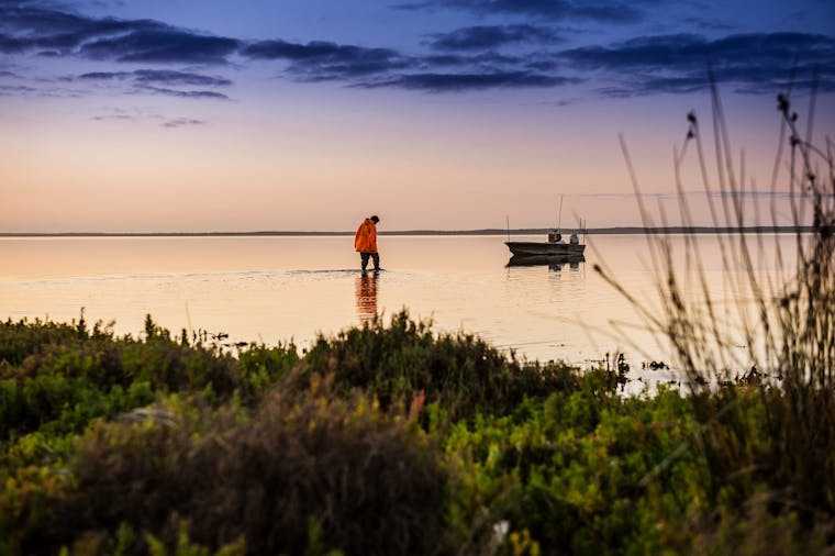 Coorong Your Way