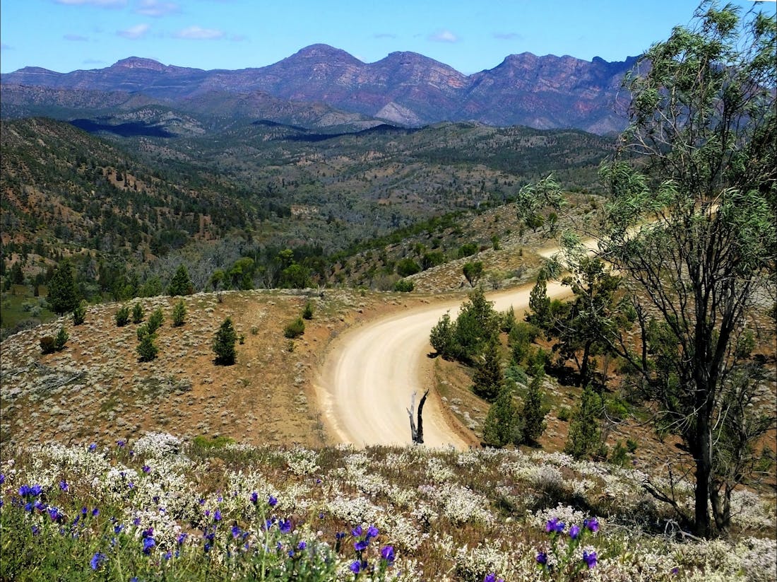 wilpena pound day tours