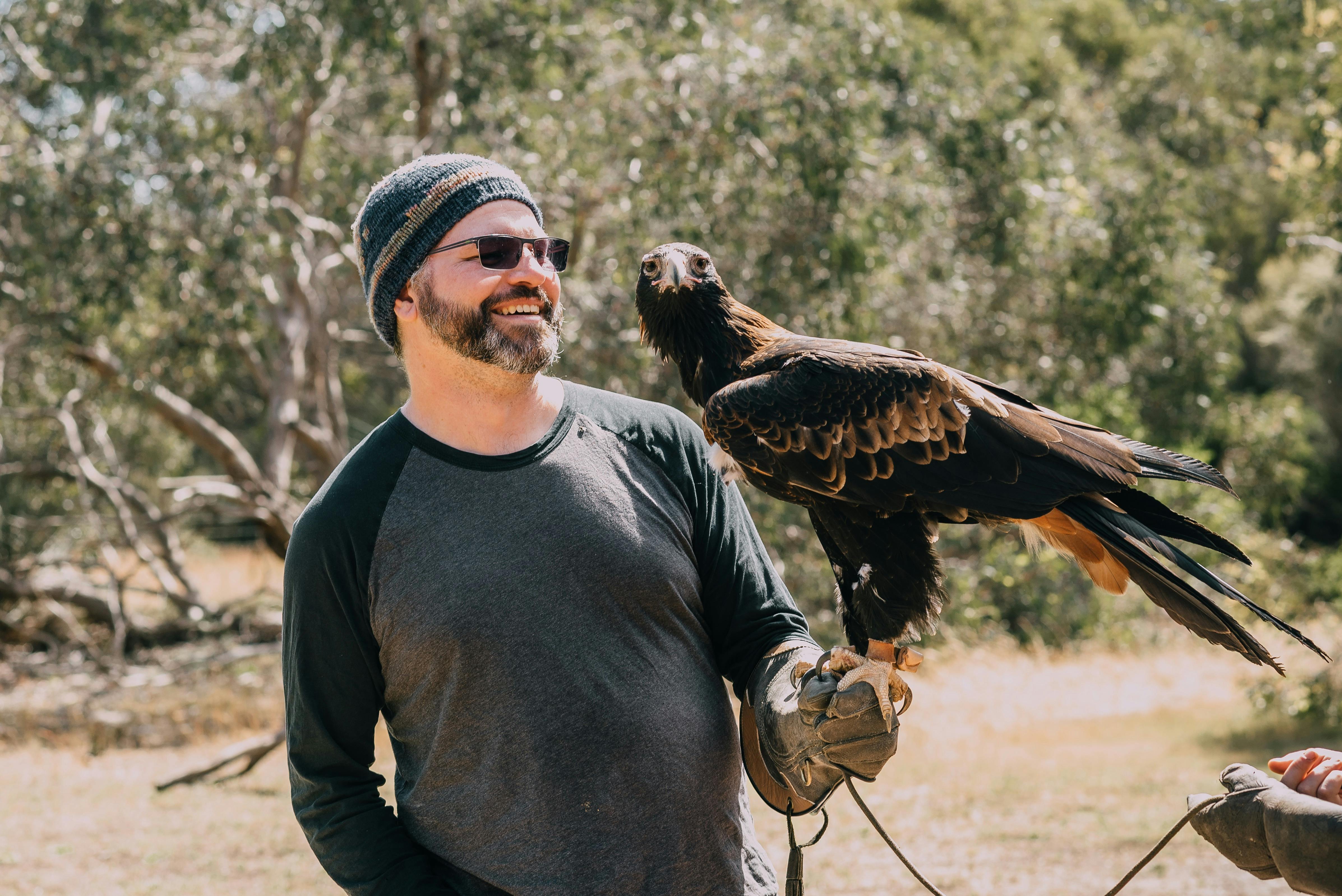 Eagle holding