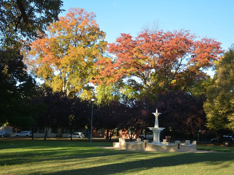 Robertson Park Orange