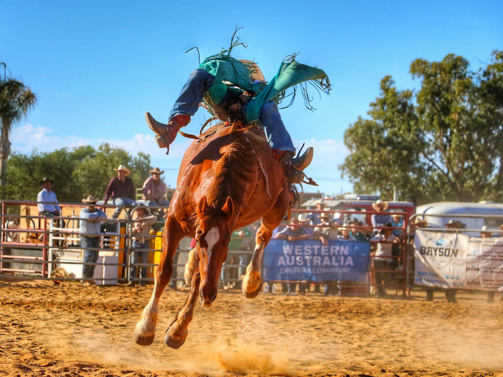 Image for Mullewa Muster and Rodeo