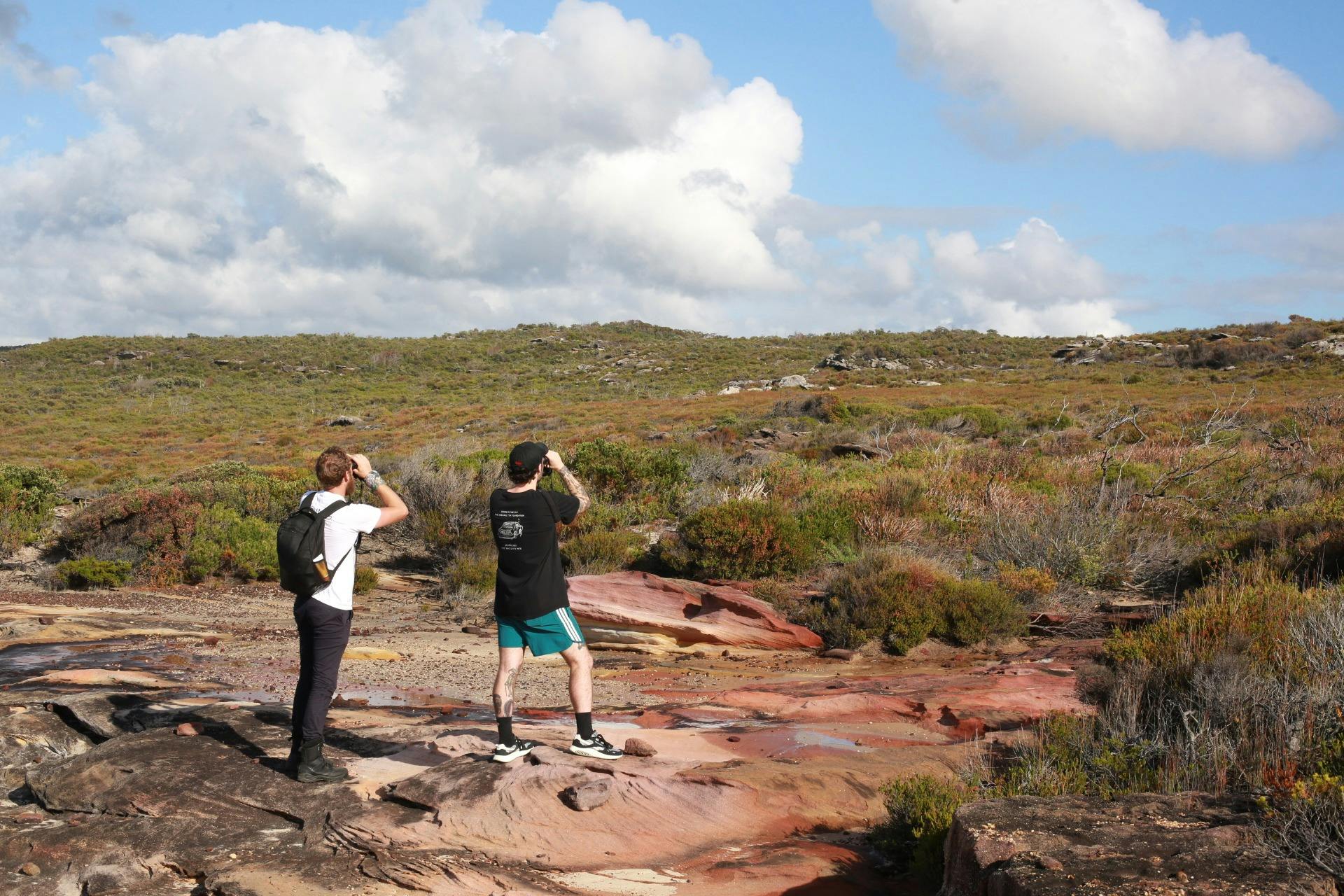 Bird Guide and Guest birdwatching in Royal National Park