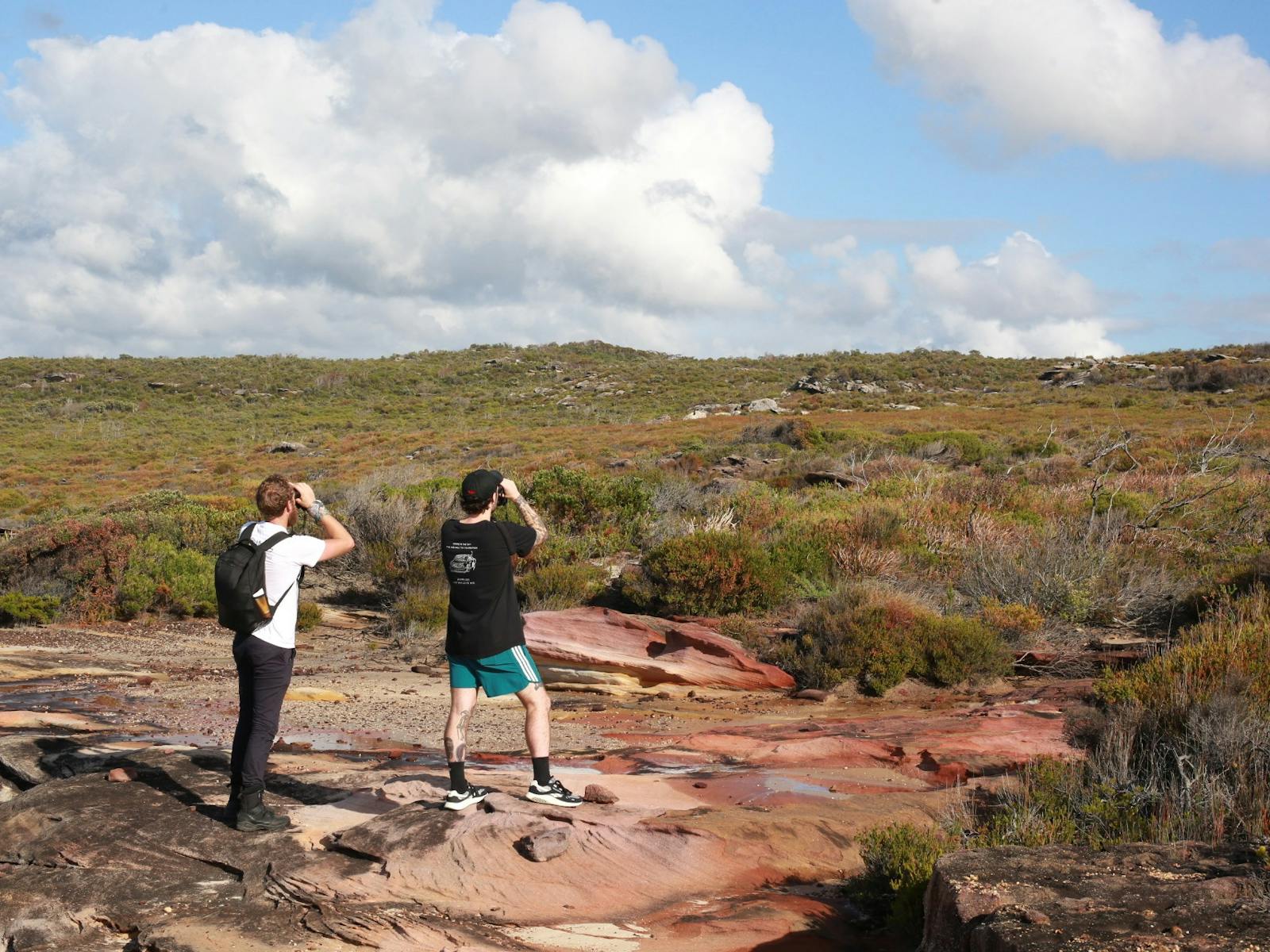 Bird Guide and Guest birdwatching in Royal National Park