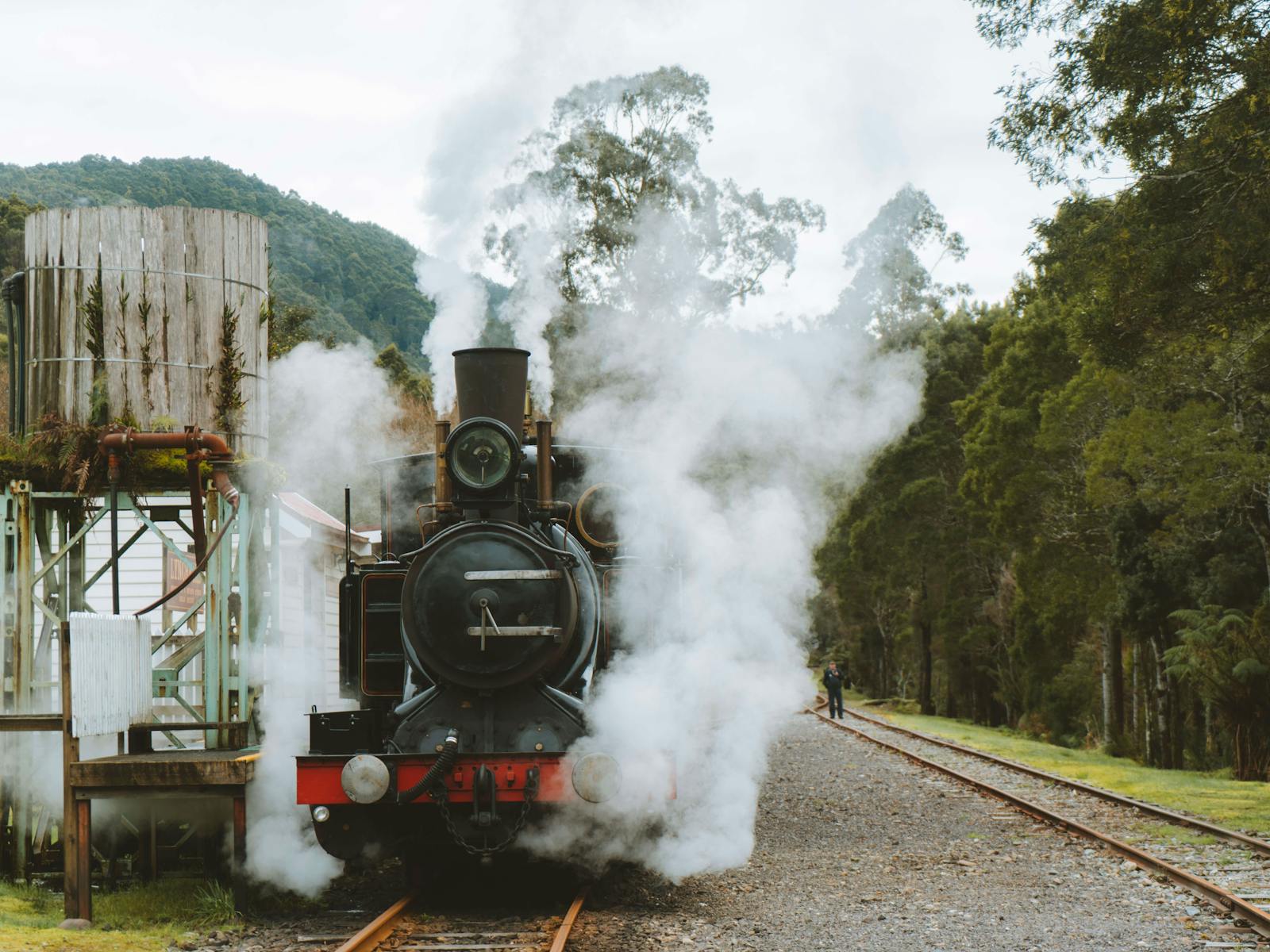 A steam locomotive lets off steam next to a station platform in the bush