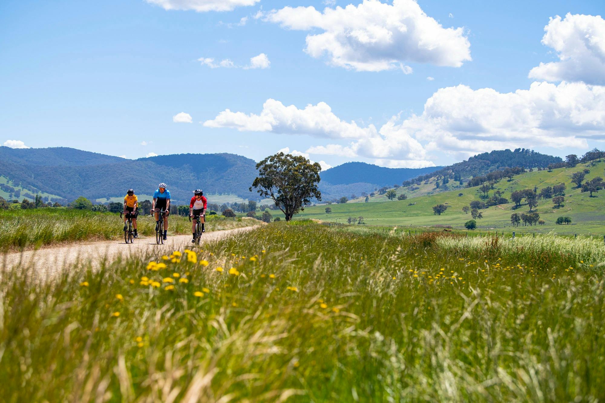 Gravel cycling, Mitta Mitta
