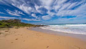 Shelly Beach