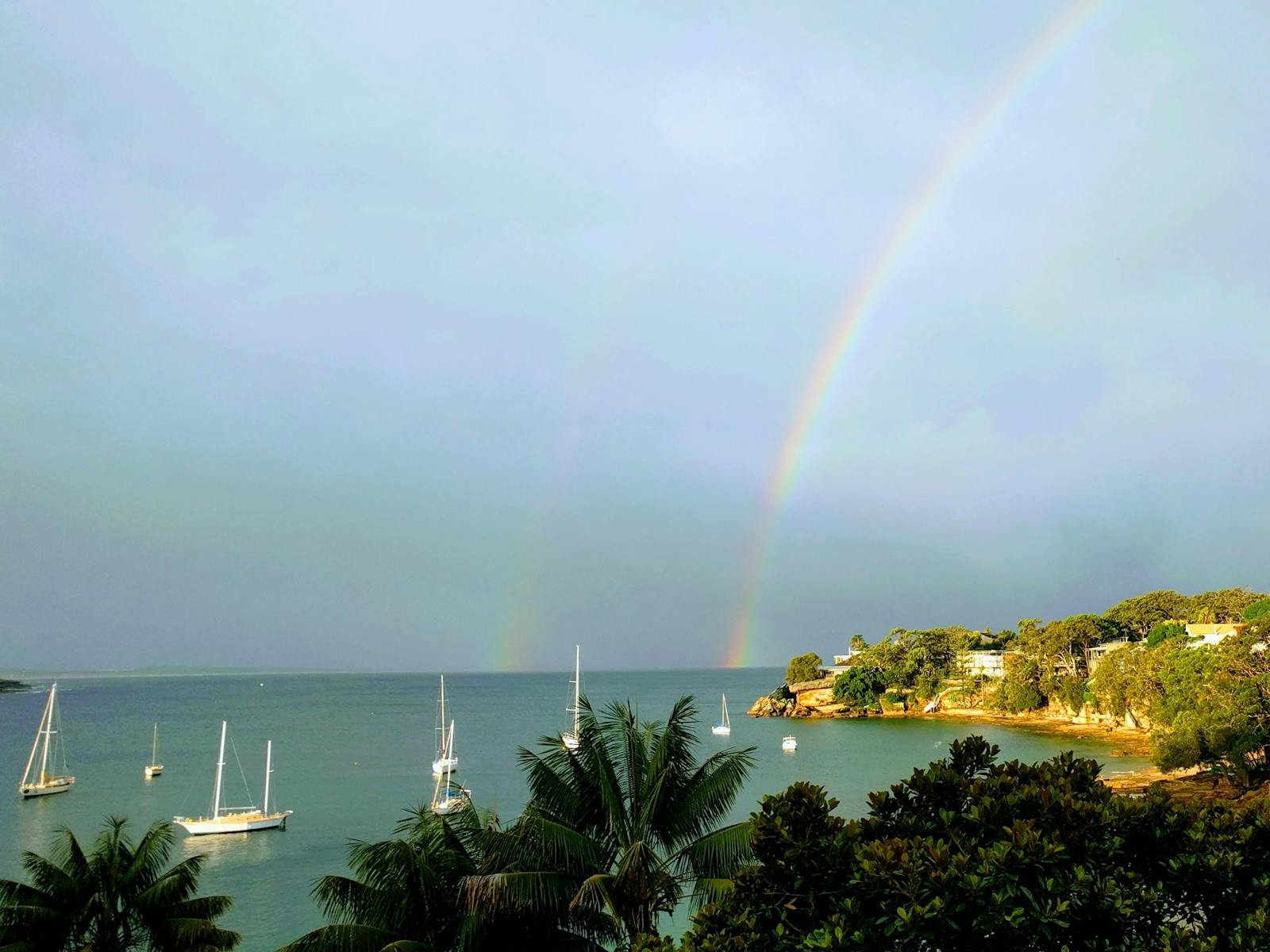 バンディーナシーサイドブッシュウォーク