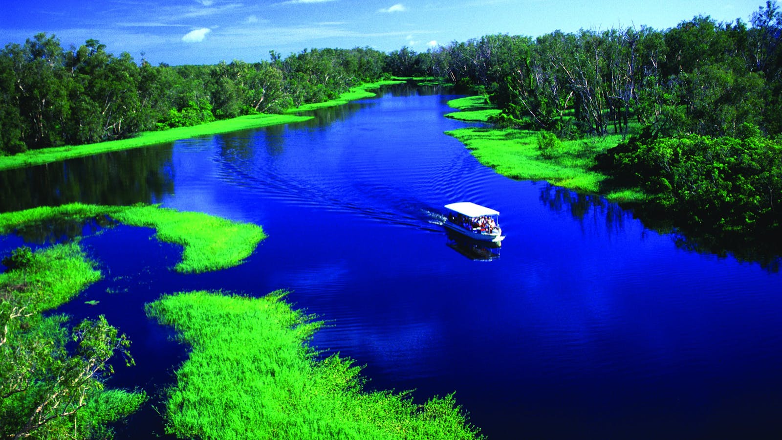 Guluyambi Magela Billabong Wet Season