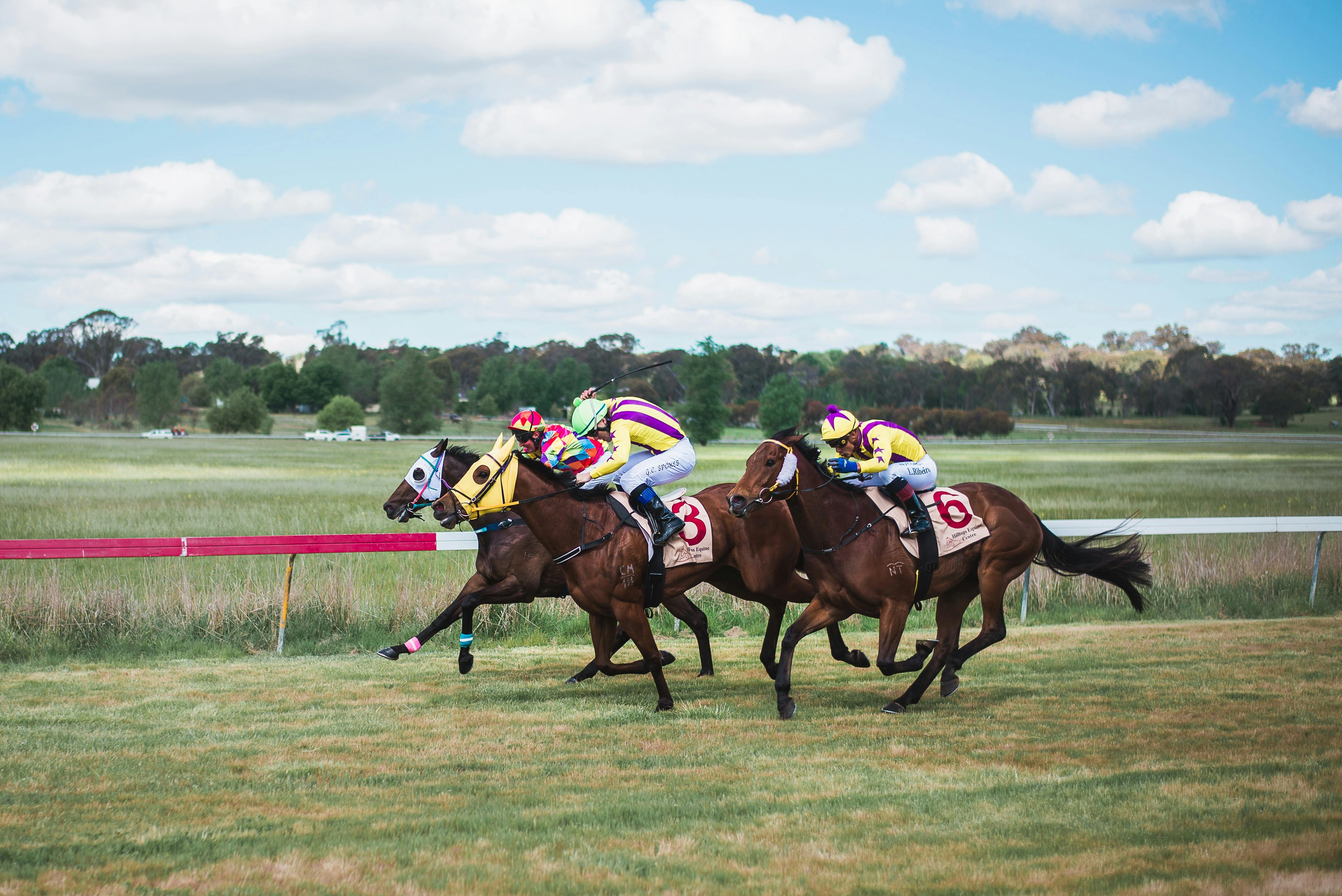 버랑공 피크닉 레이스