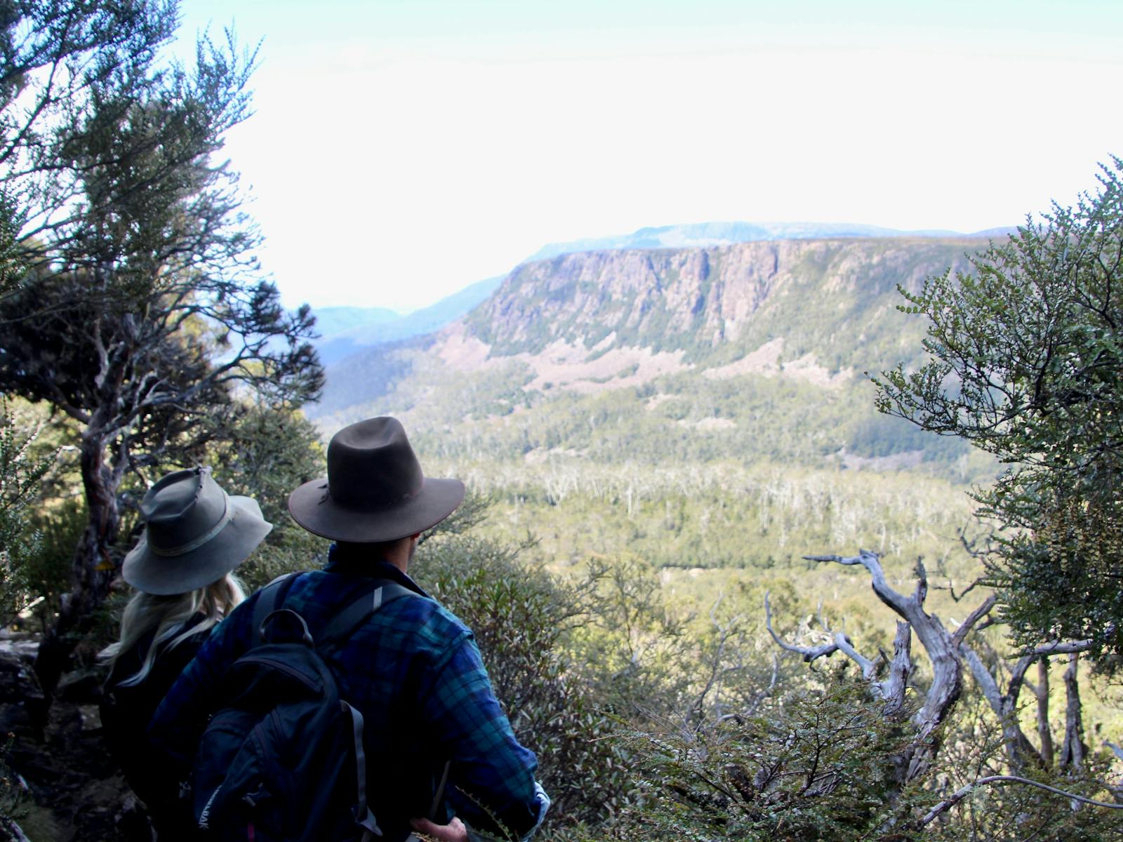 bushwalking opportunity