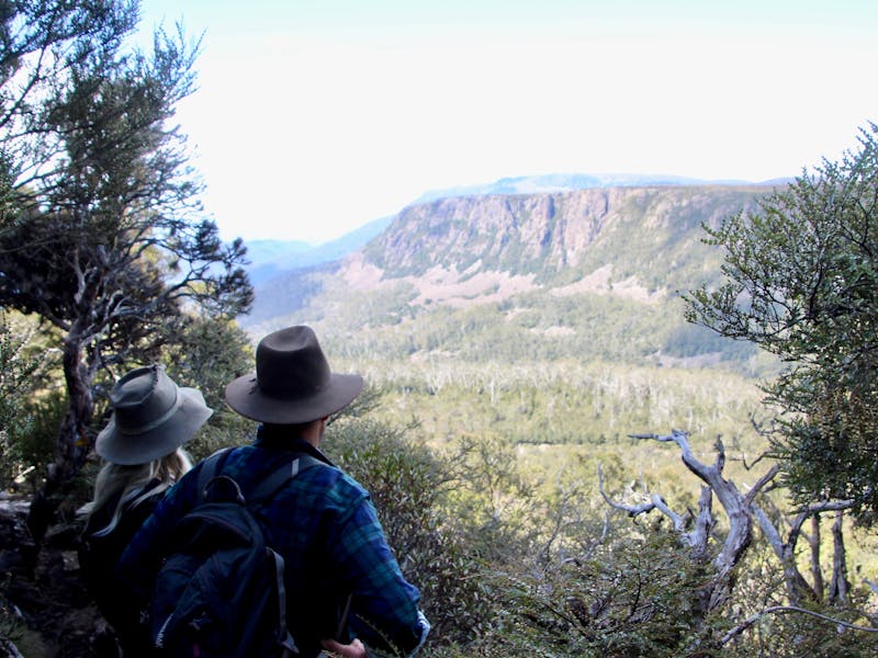 bushwalking opportunity