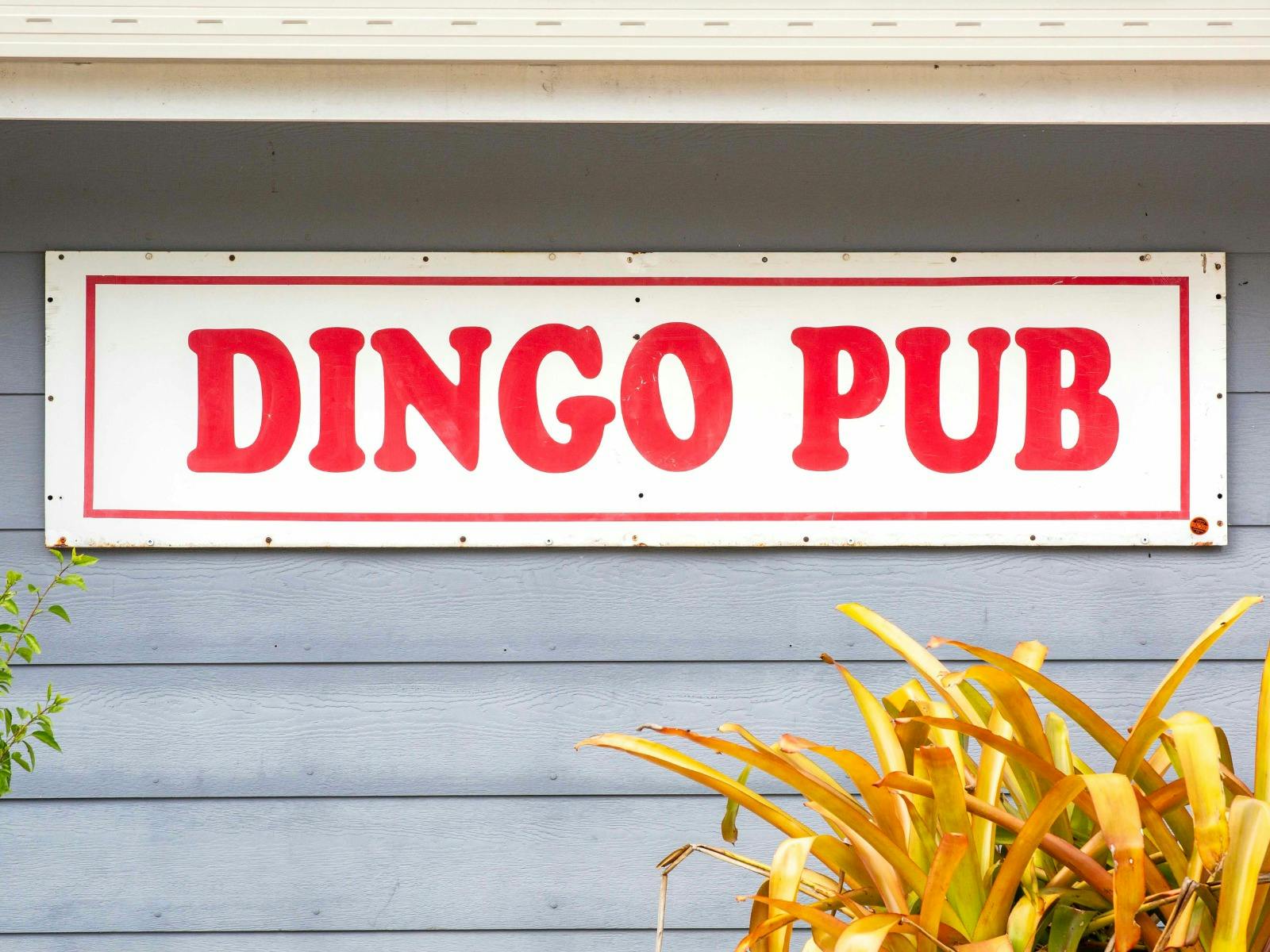 Beachfront beers with Coral Sea views — the perfect Whitsundays detour.