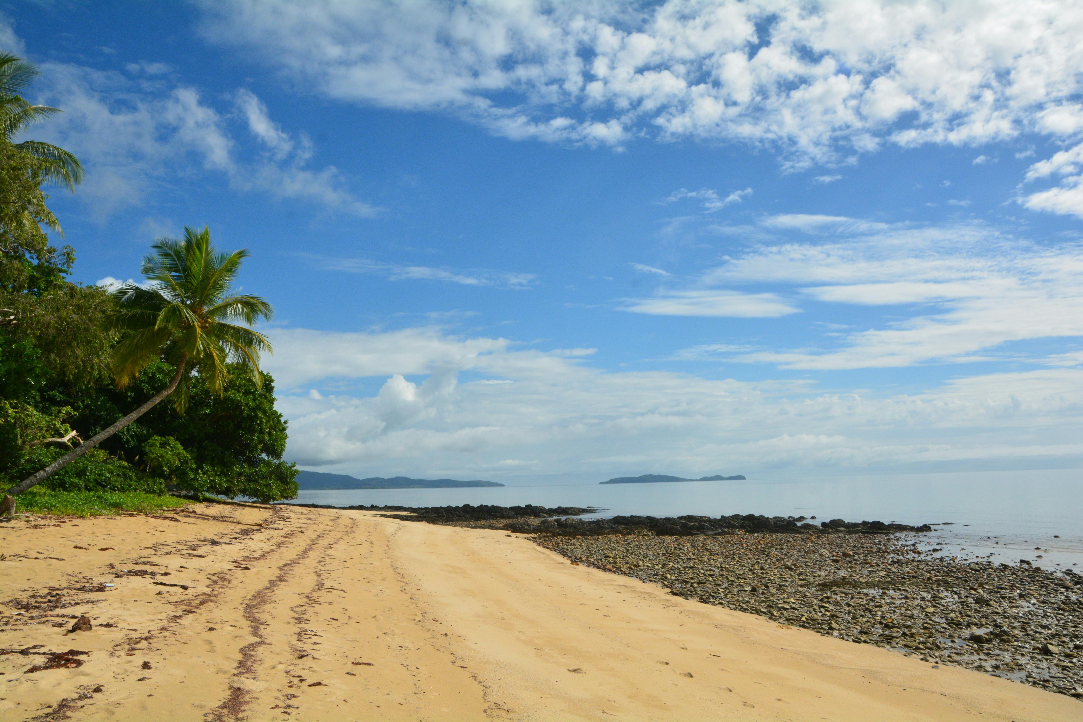 The Daintree Coast