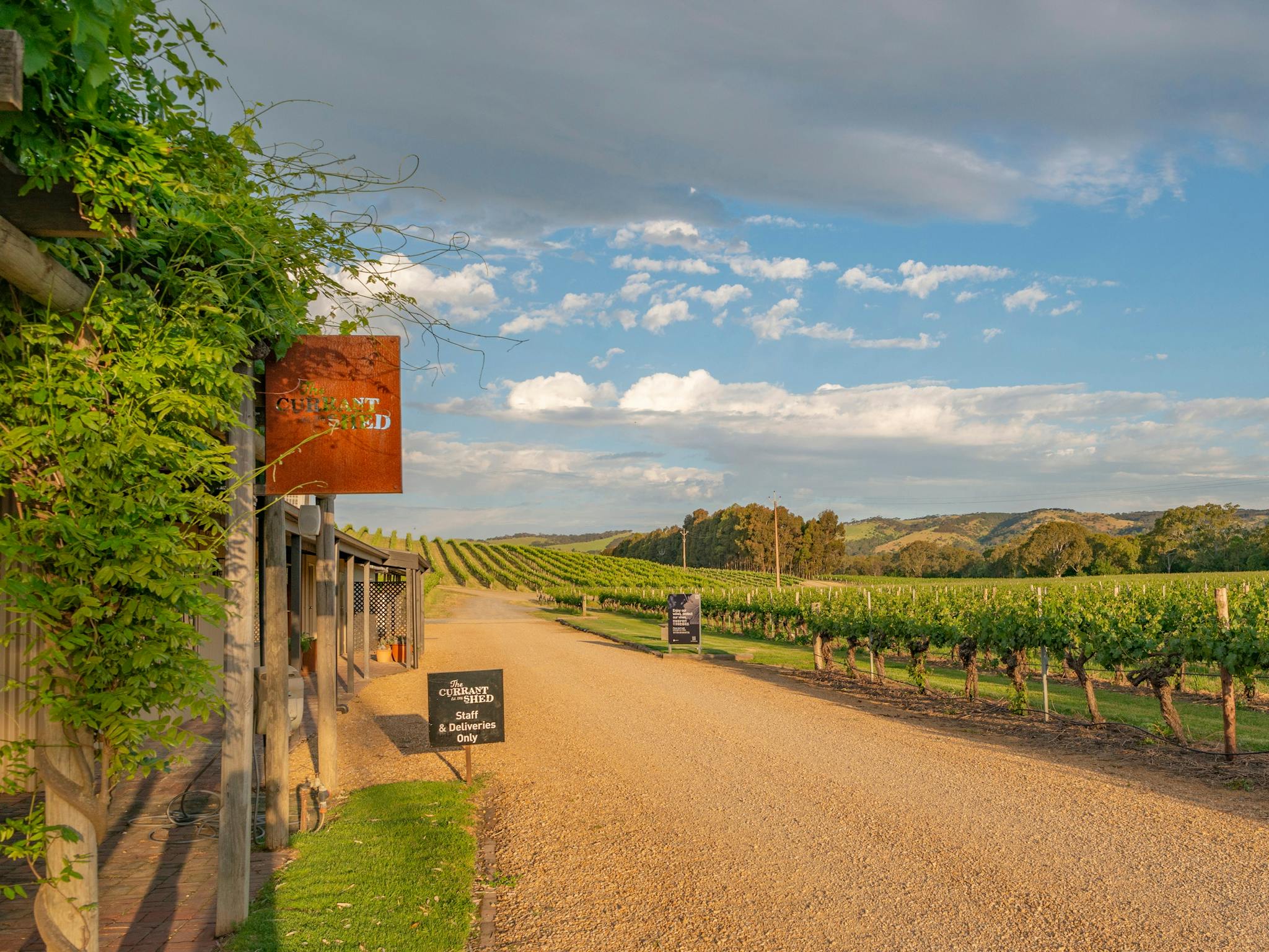 Currant Shed Sign