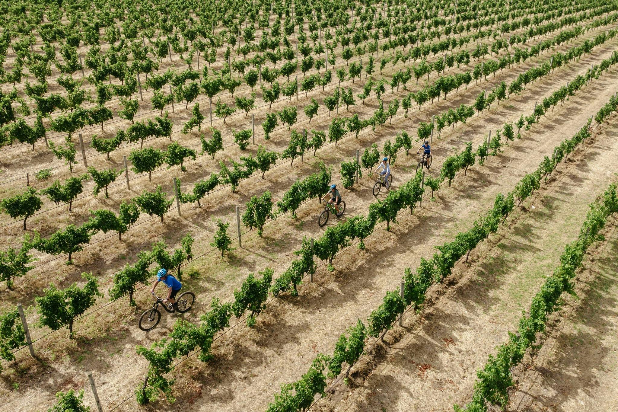 Margaret River Wine Cycle Trail