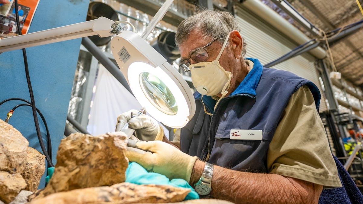volunteer uses a tool in the lab to work on a dinosaur bone