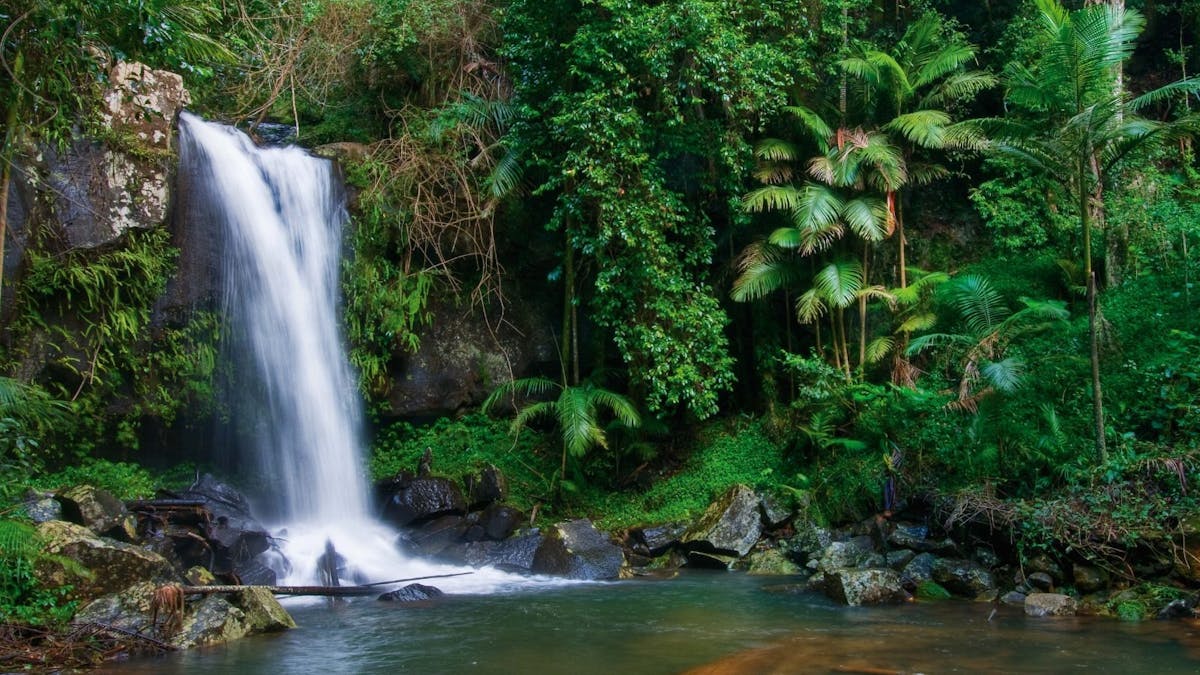 Waterfall flowing into a pond amongst foliage in a national park