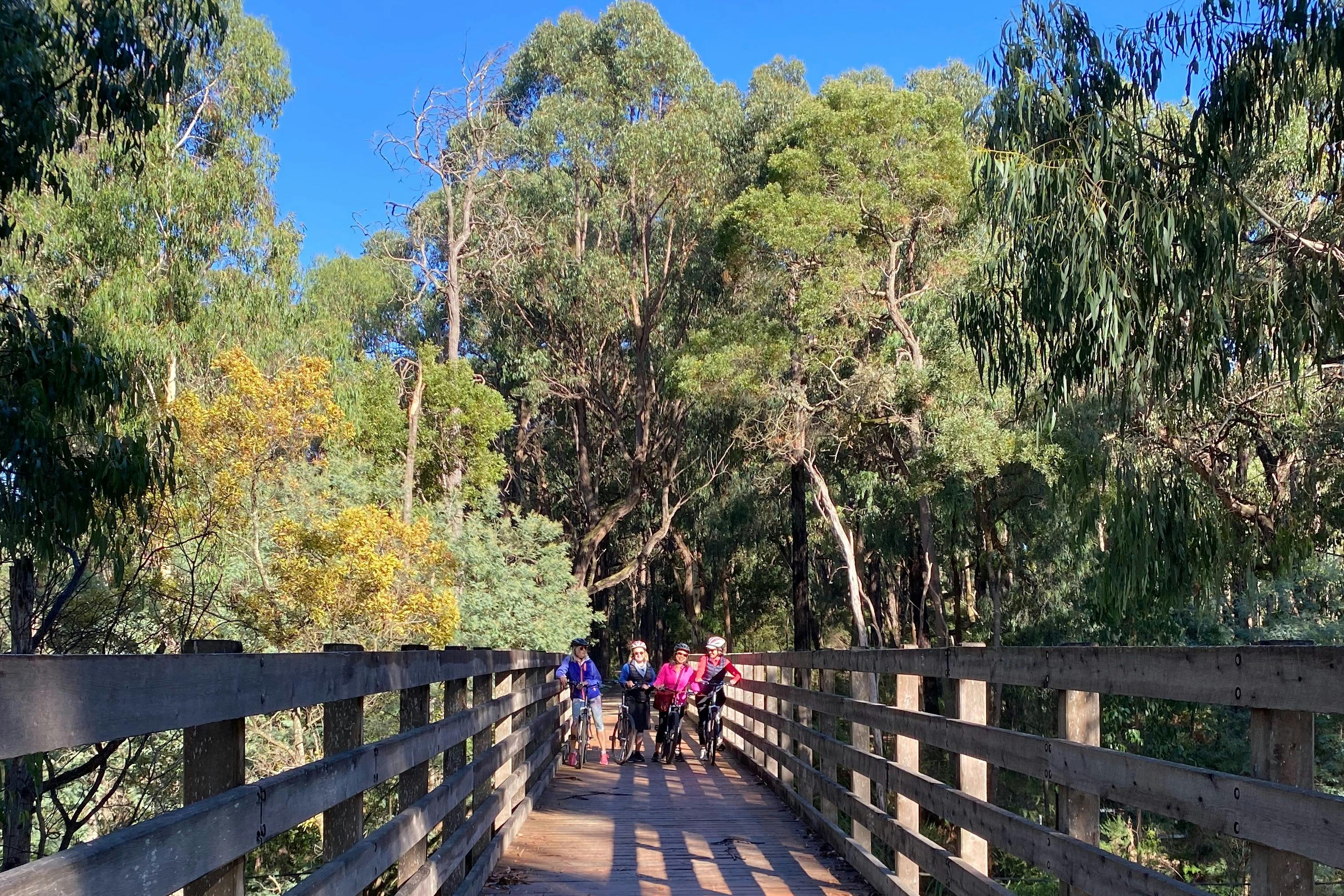 Cycling the Warburton Rail Trail