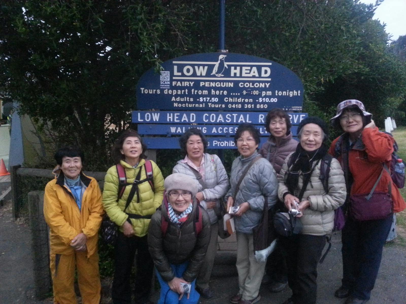 Getting ready for the Low Head Penguin Tour