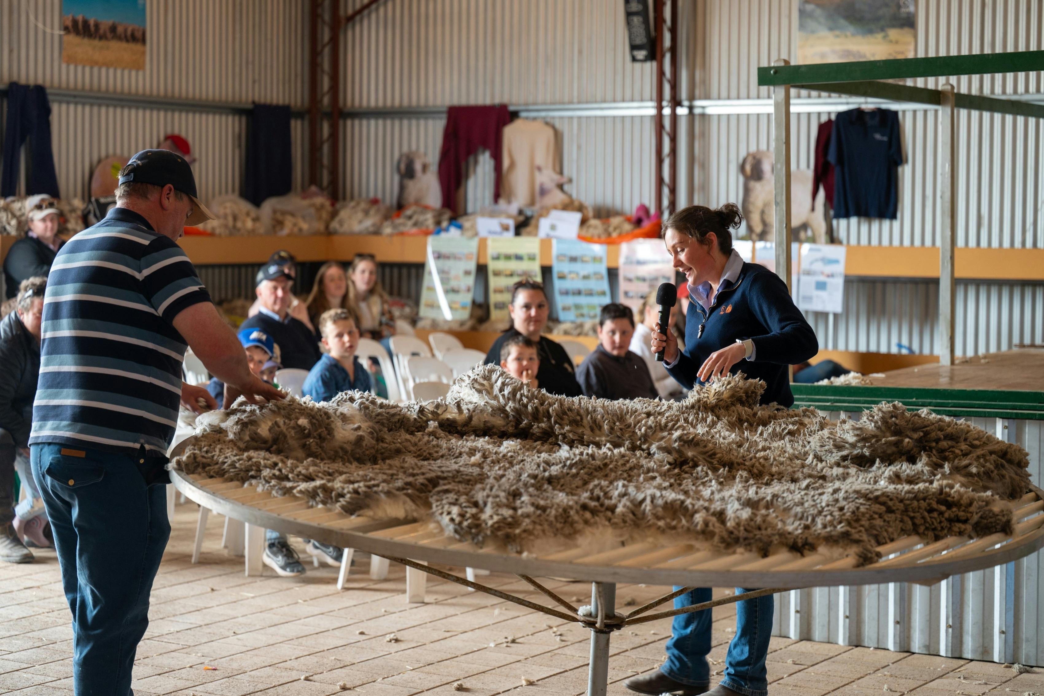Wool and Sheep Displays