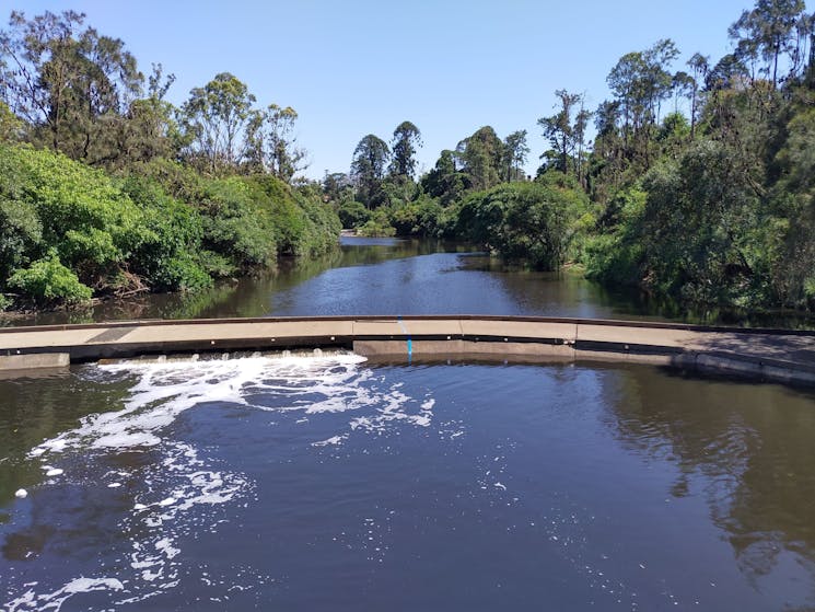 Upper Parramatta River within Parramatta Park