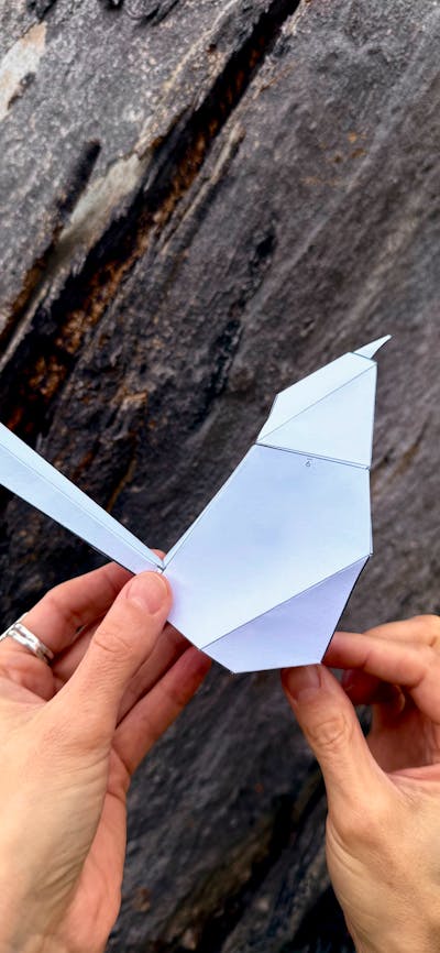 Image | Example Constructed Bird Template Made by Eggpicnic | Courtesy of the Artist