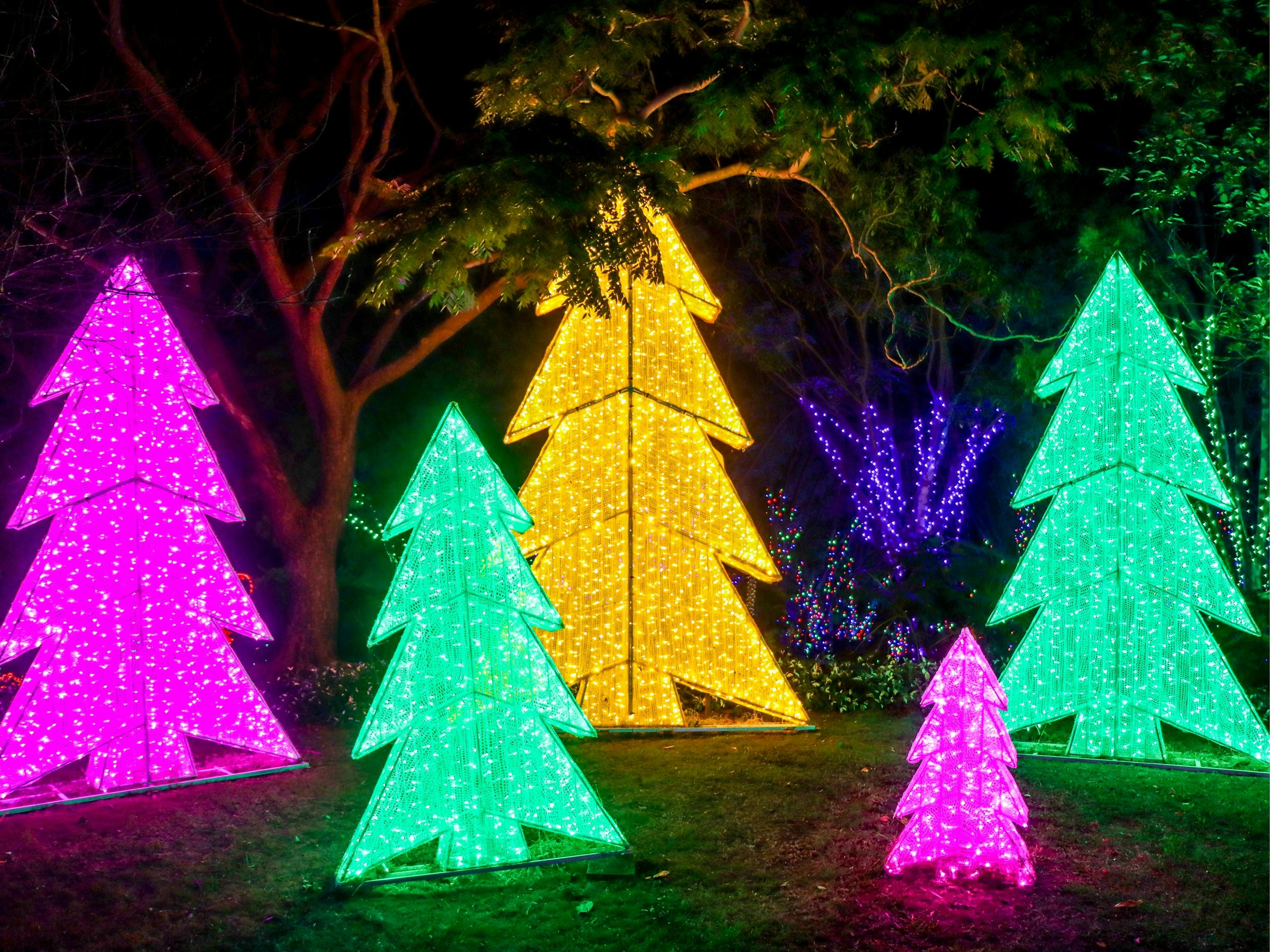 Christmas Lights Spectacular at Hunter Valley Gardens